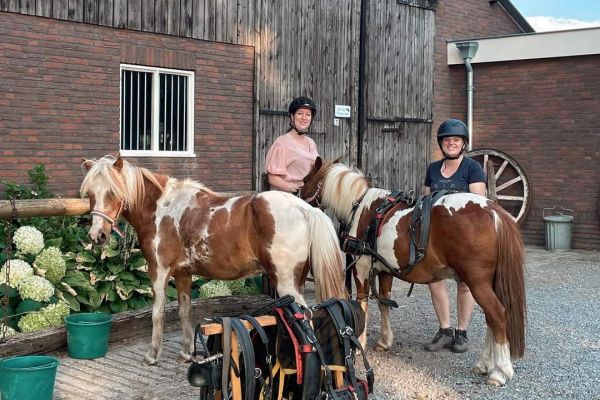Overnachten met je paard
